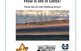 2024 USU Wellbeing Survey