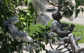 Statue of man sitting with white hydrangea bush blooming along side