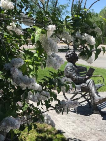Statue of man sitting with white hydrangea bush blooming along side